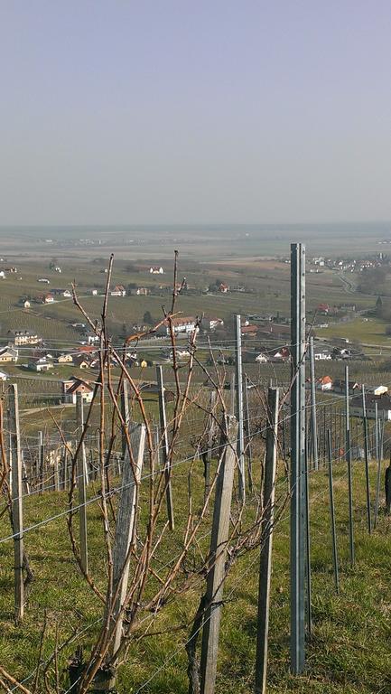 Kellerstoeckl Kamper Villa Eisenberg an der Pinka Eksteriør billede